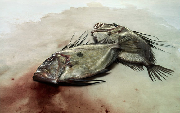 John Dory fish, featured in our FISH photo essay